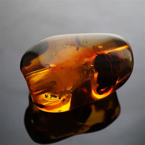 where to buy real amber.